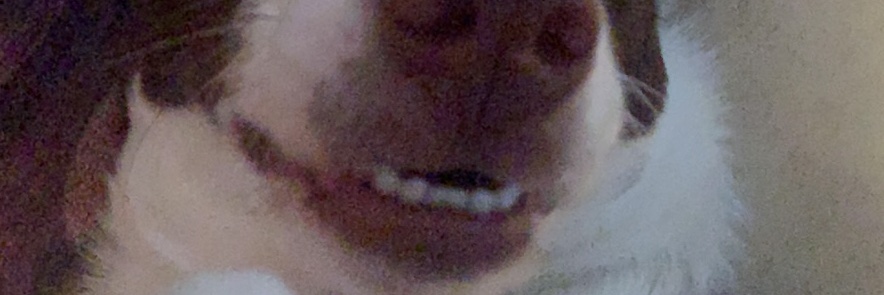 secretlyalex's profile banner image