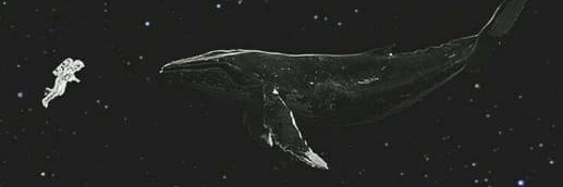 cabisars's profile banner image