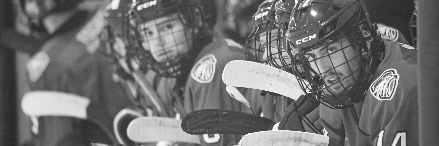 Walkerton Capitals Jr C Hockey Club banner