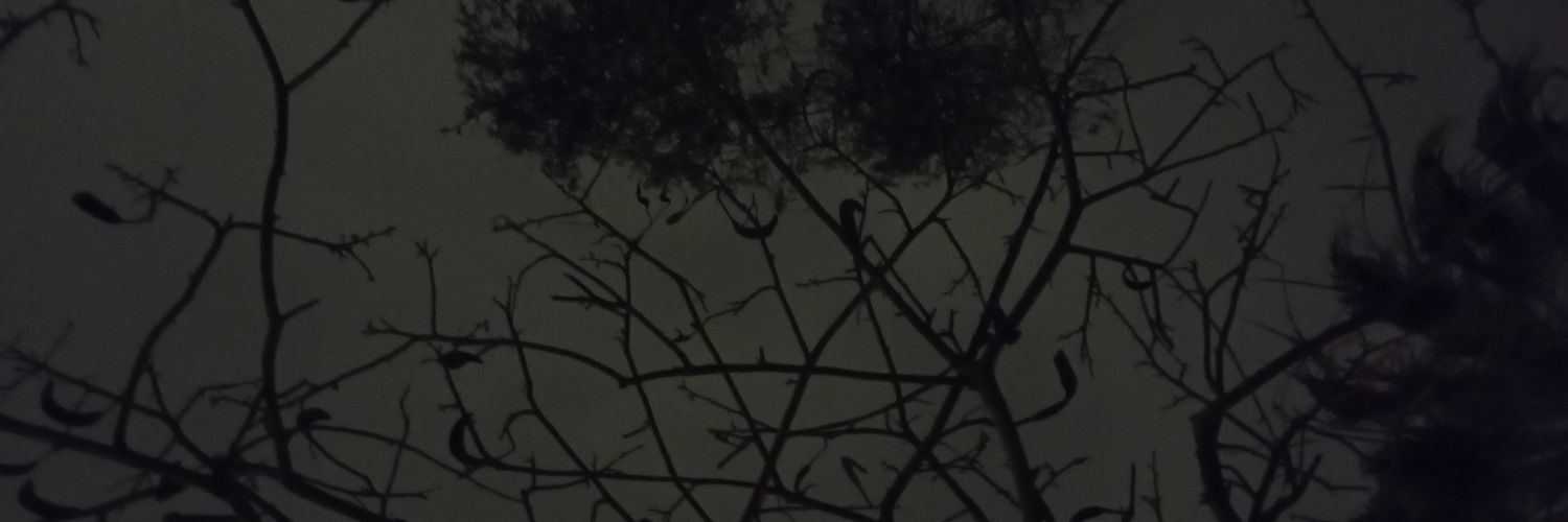 Friyonce_'s profile banner image