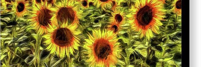 Dan Beauchamp 🇺🇦 banner