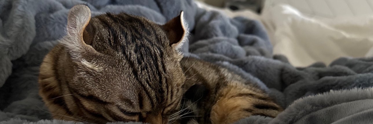 mariaadooe's profile banner image