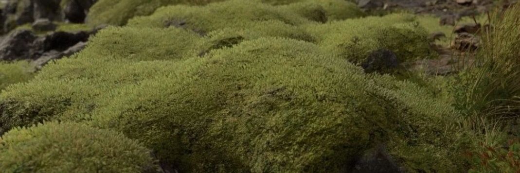 slimsulesky's profile banner image