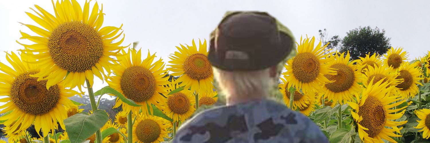 Nobux2Tube's profile banner image