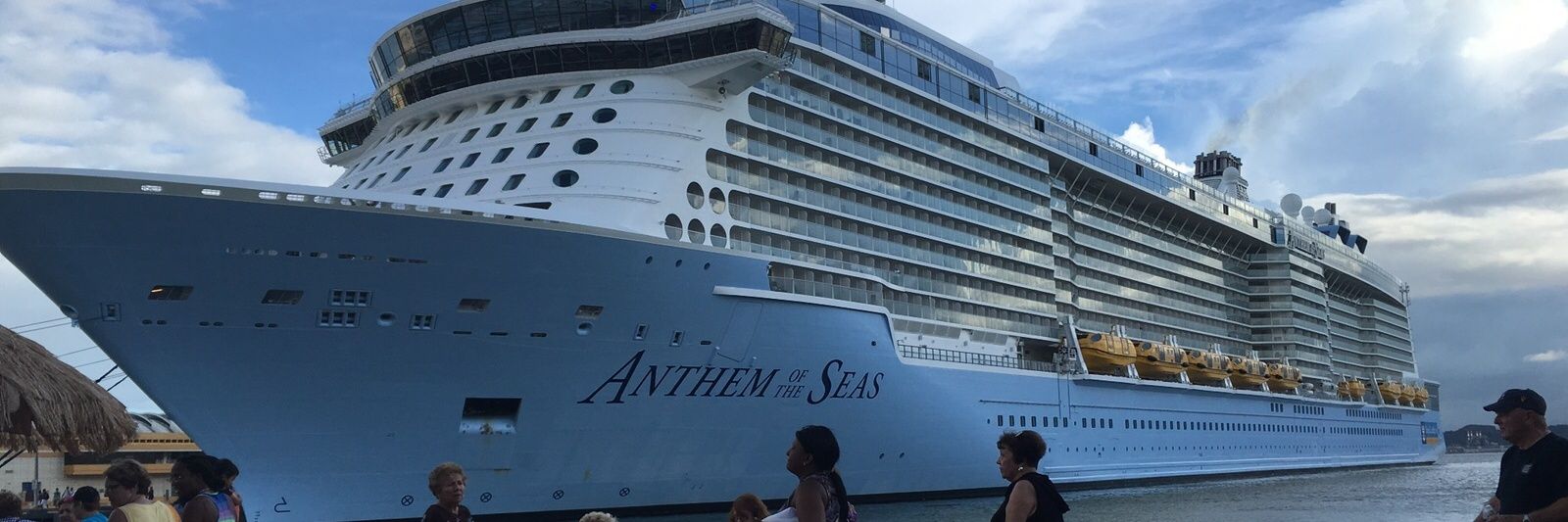 Tracey Mitchell banner