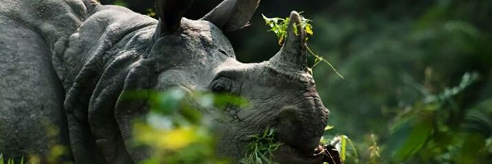 Pranab7799's profile banner image