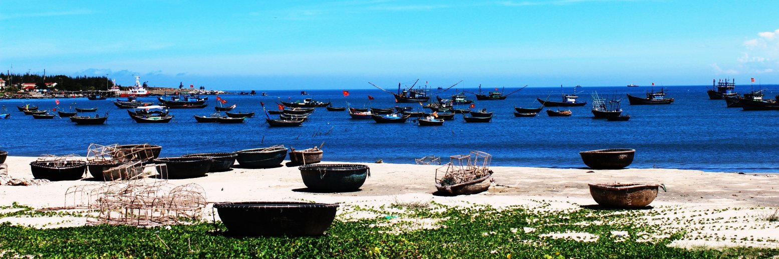 Le Thoai (Lee) banner