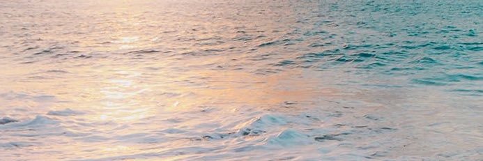 Marchardna's profile banner image