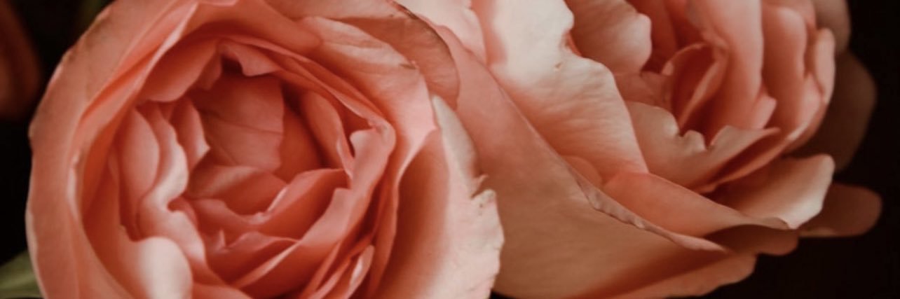 vpblais's profile banner image