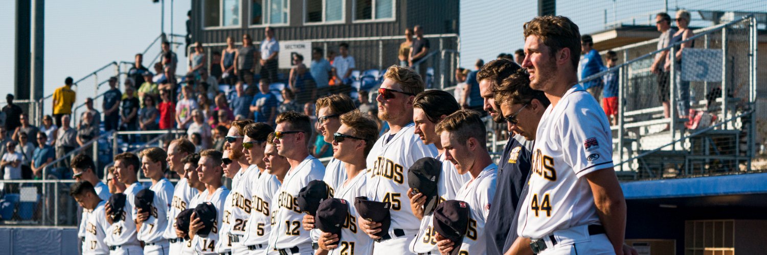 UBC Baseball's banner