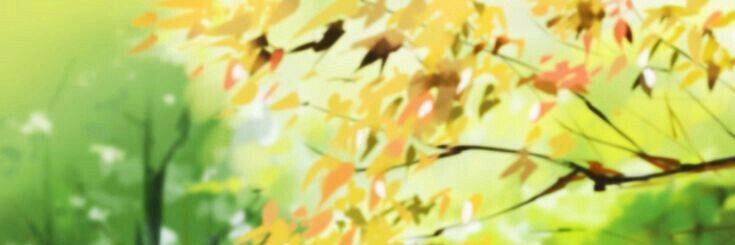 snowlight21's profile banner image