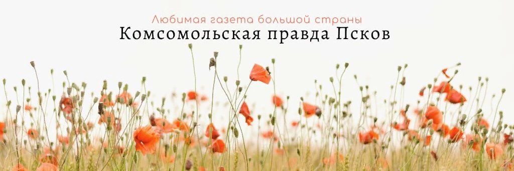 KP_PSKOV's profile banner image