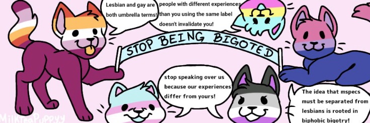 incluslesbians's profile banner image