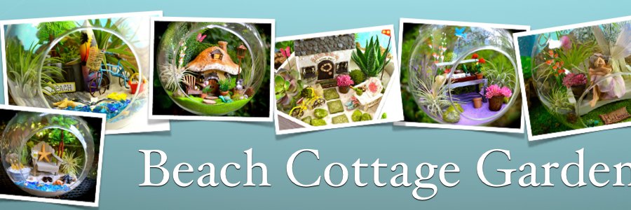 BeachCottageboo's profile banner image