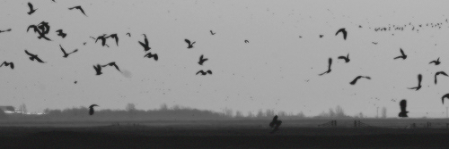 Azooz_a81's profile banner image