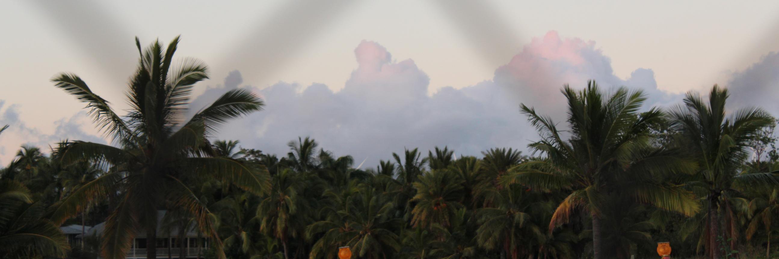 rayvaneee's profile banner image
