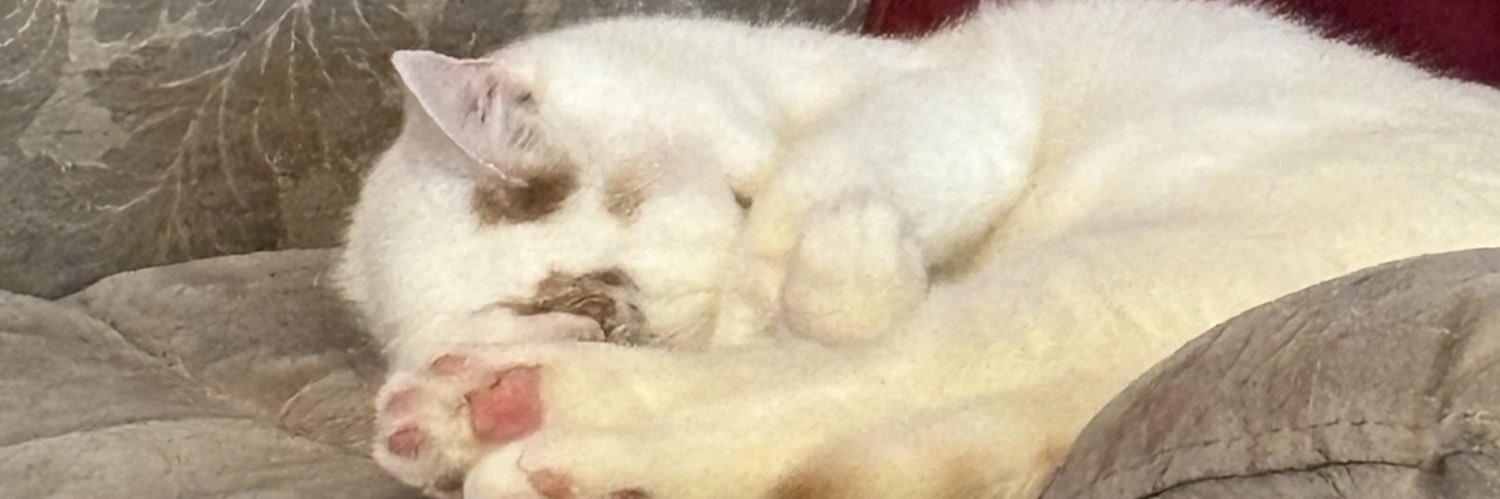 treborsmot's profile banner image