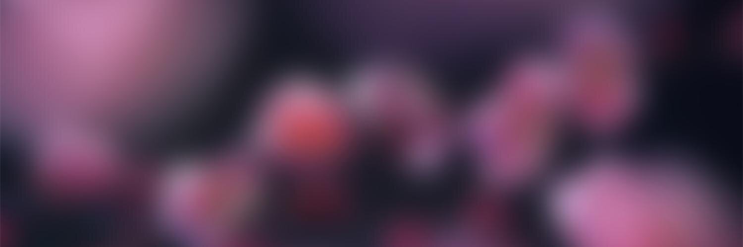 _SeoProvider_'s profile banner image