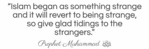 merrrmore's profile banner image