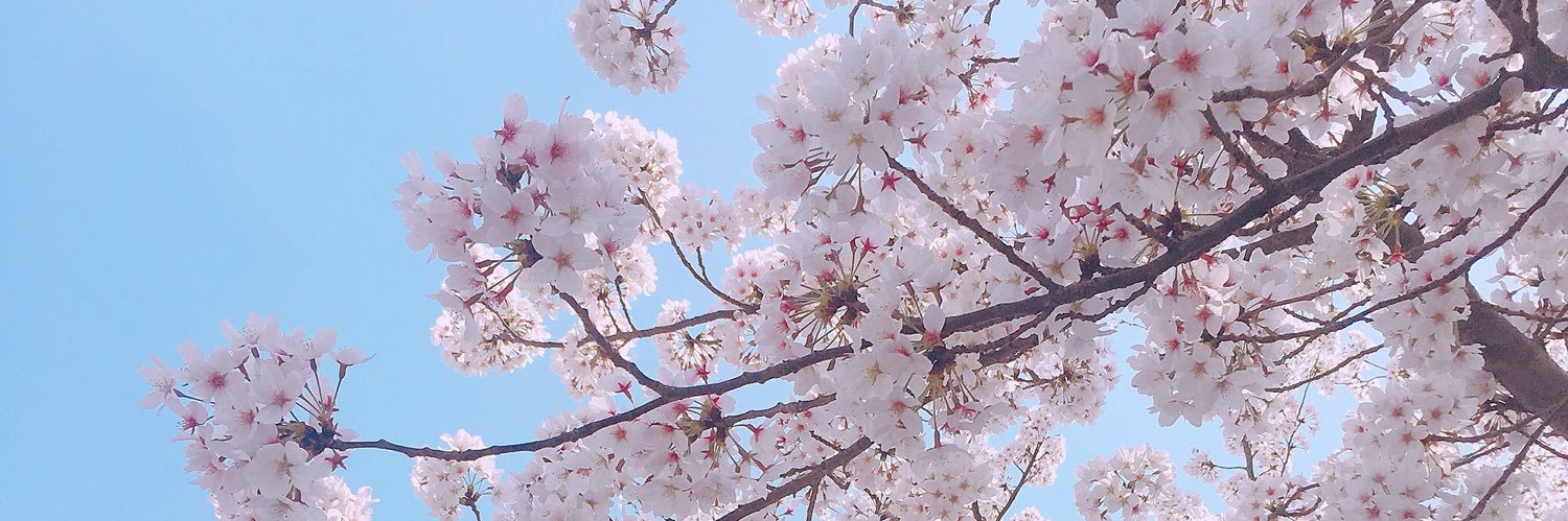 hina12415's profile banner image