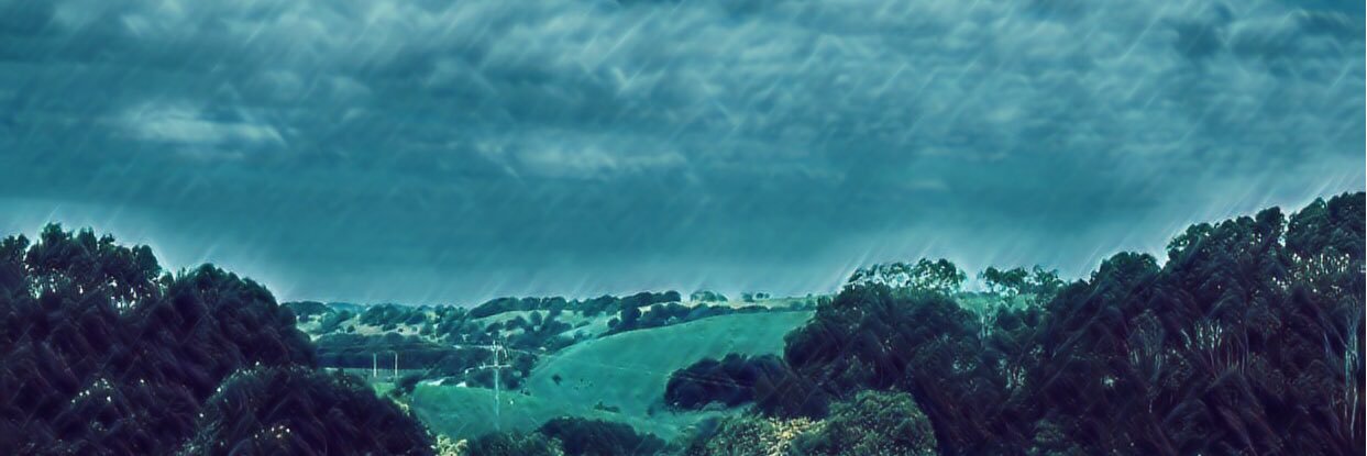 ابـو عـبـدالـمـلـك banner