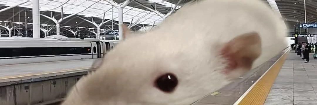 Mousese_'s profile banner image