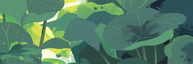 Xaranomi's profile banner image