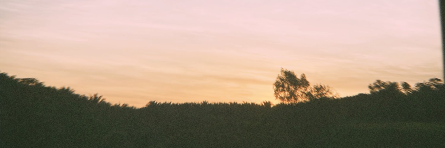 Cherryczl's profile banner image
