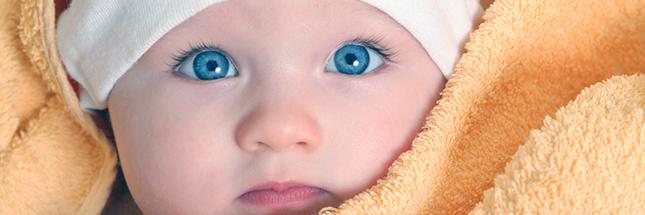 Sergio banner