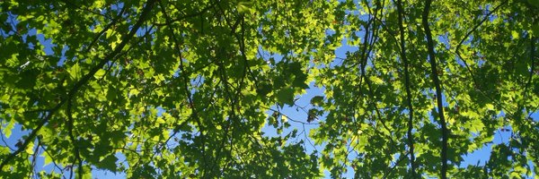 CrisGElorriaga Profile Banner