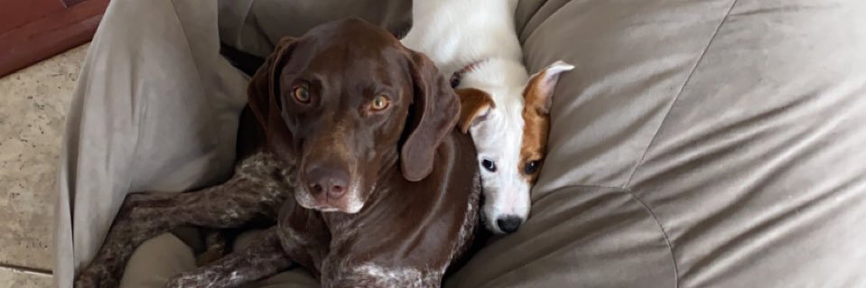 NicholsLexi's profile banner image