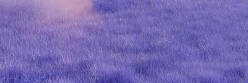 fxxkrysj's profile banner image