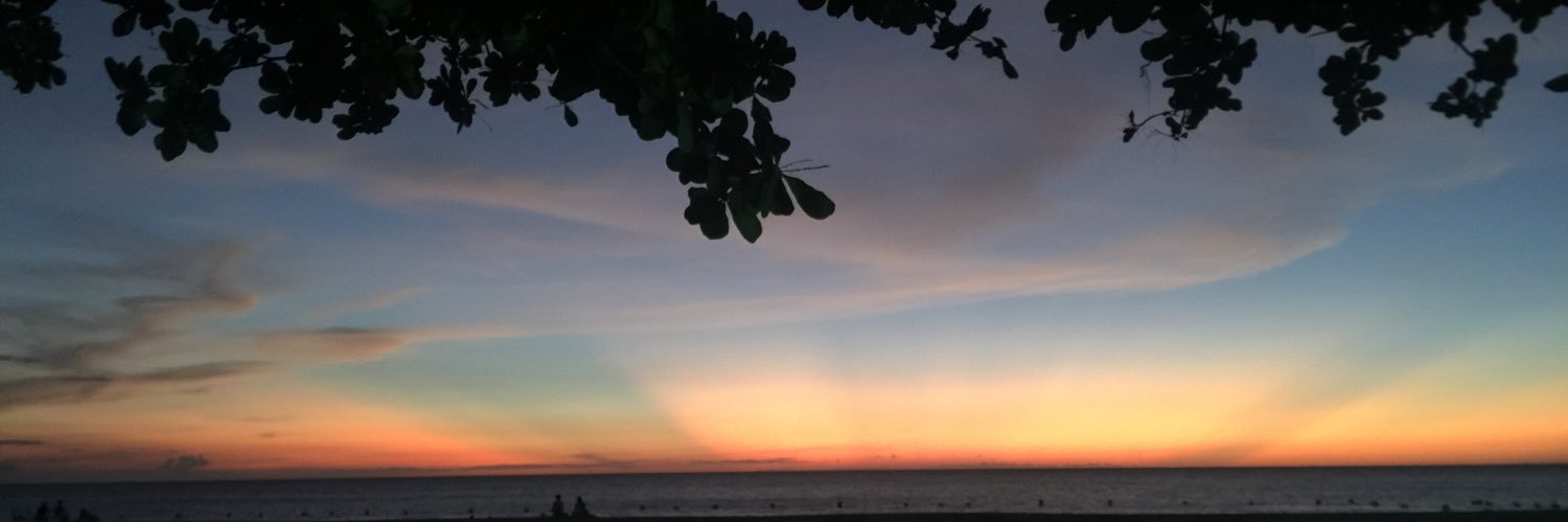 MariaJoseGomez_'s profile banner image