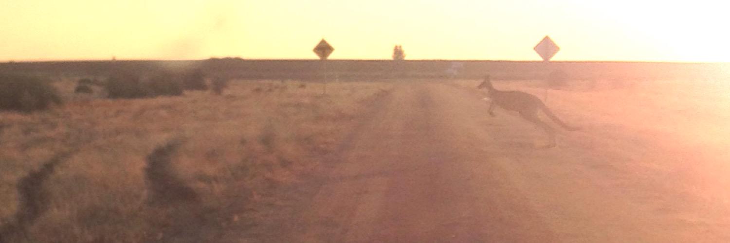 randimichelle__'s profile banner image