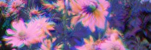 bitchin333's profile banner image