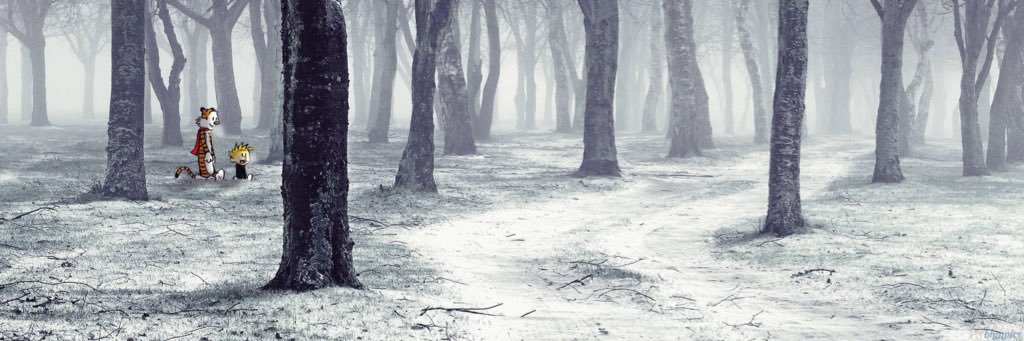 Johan de Groot banner