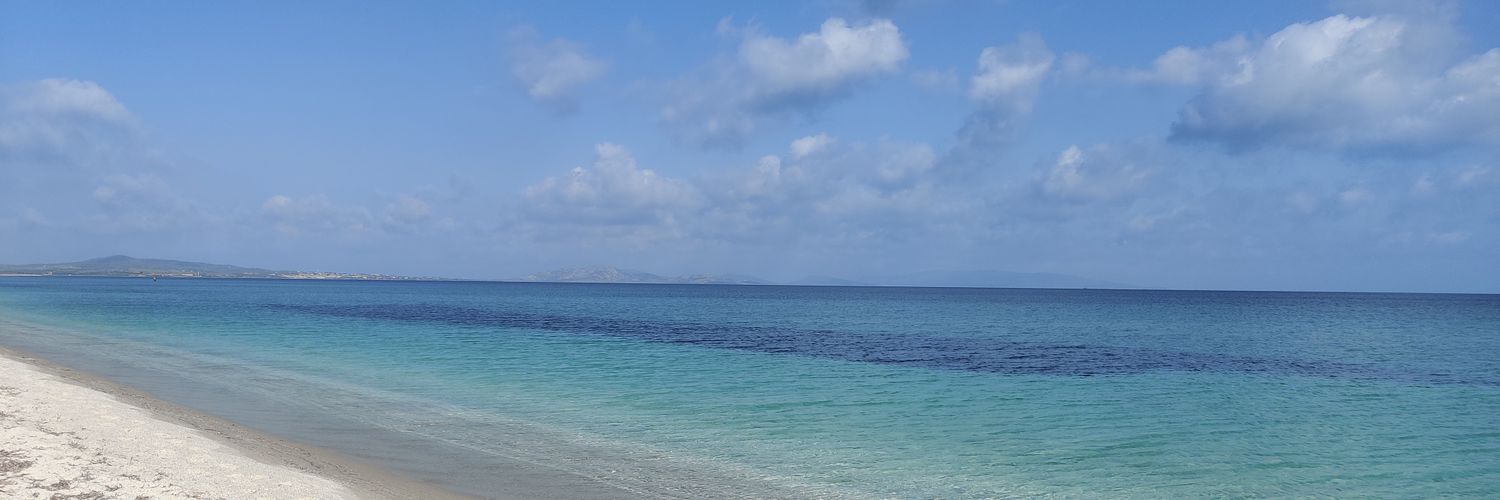 chepeldy's profile banner image
