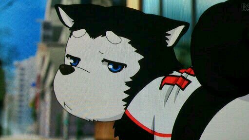 HuariShinri's profile banner image
