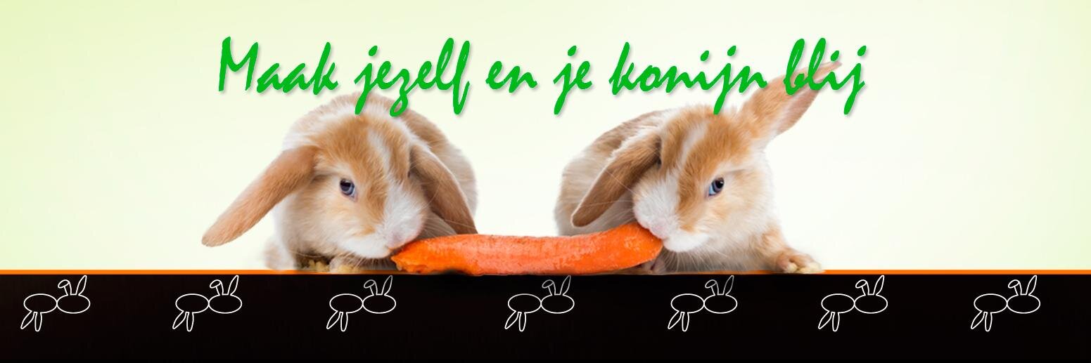 Blijkonijn's profile banner image