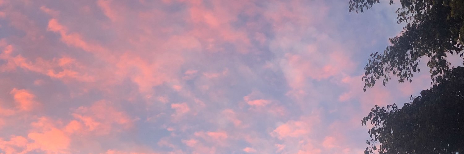 Carlos Canela M banner