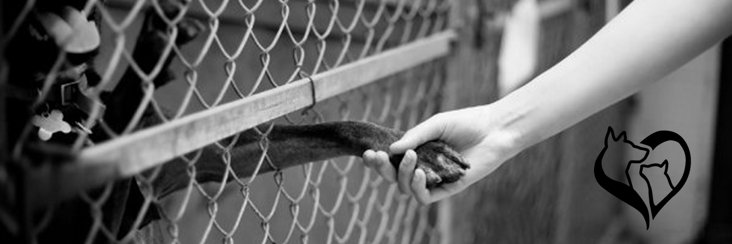 Animal Adoption Ctr banner