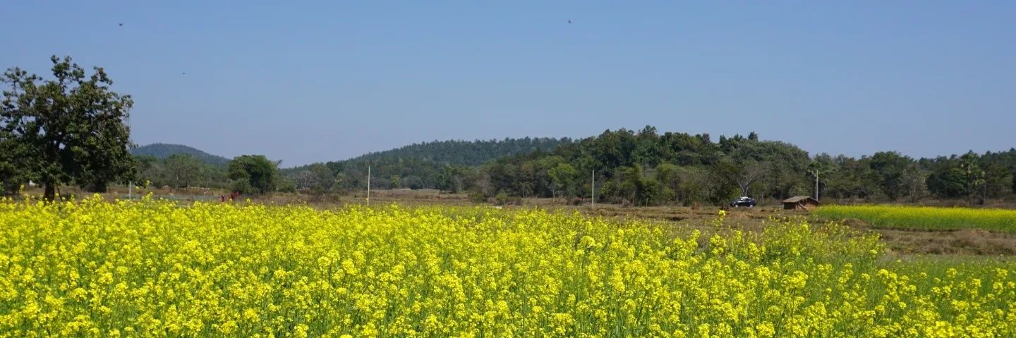 niladripiku's profile banner image