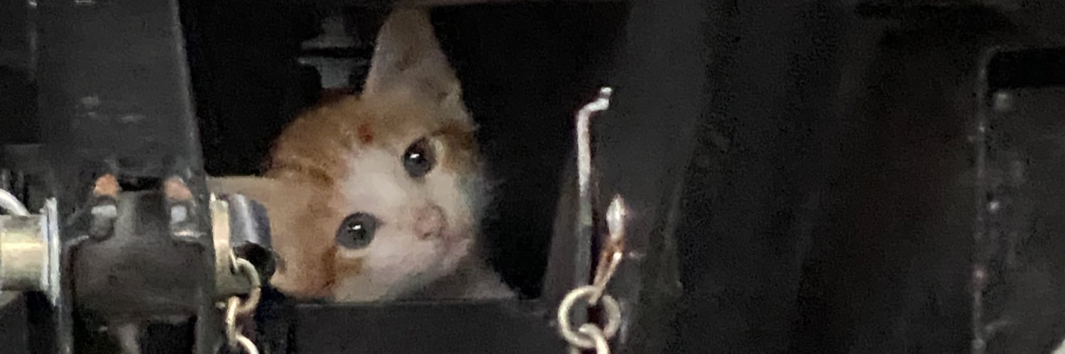 aubreeyx's profile banner image