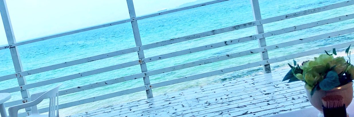 soft0828's profile banner image