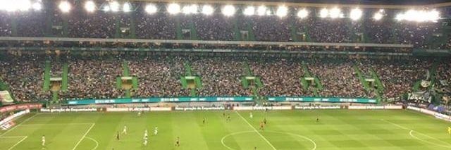 pedrocustodinho's profile banner image