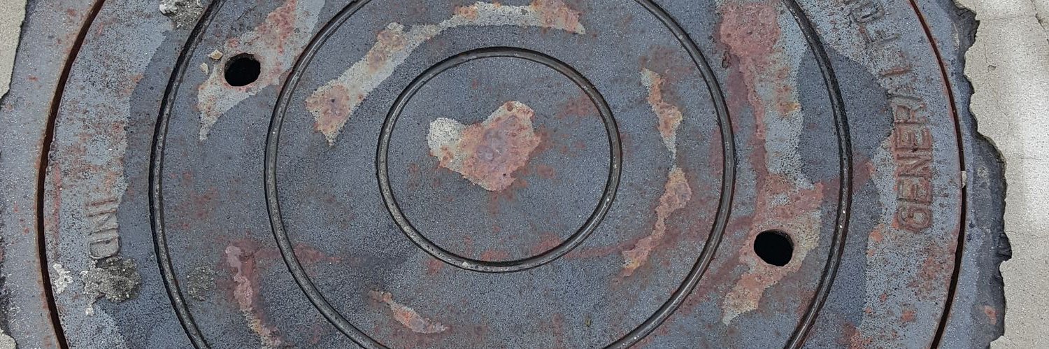 Syrita Frinks banner
