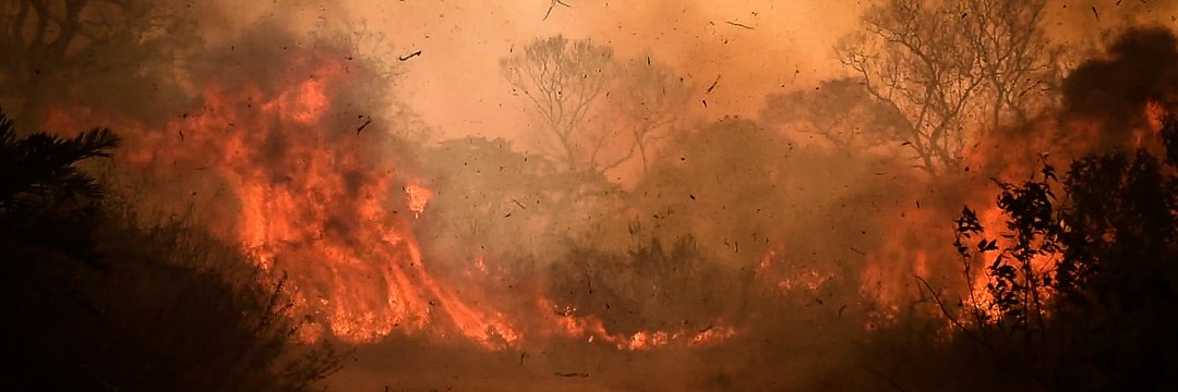 Gustavo Basso banner