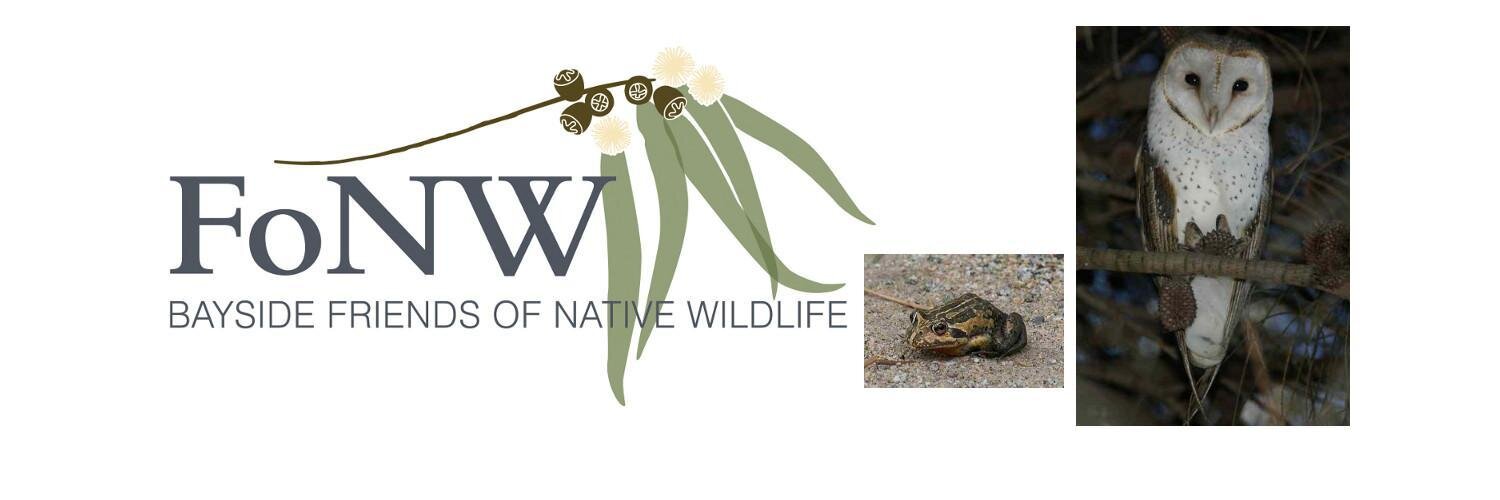 bayfonw's profile banner image
