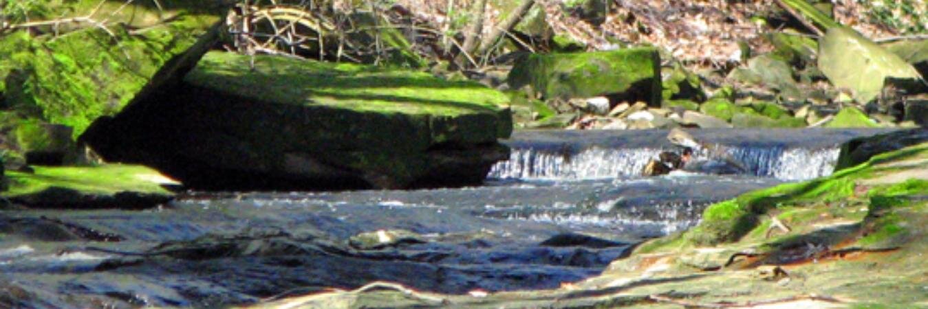 Agreenmentsrl's profile banner image