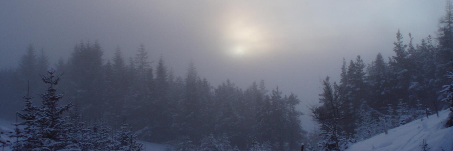 EmJCrowley's profile banner image
